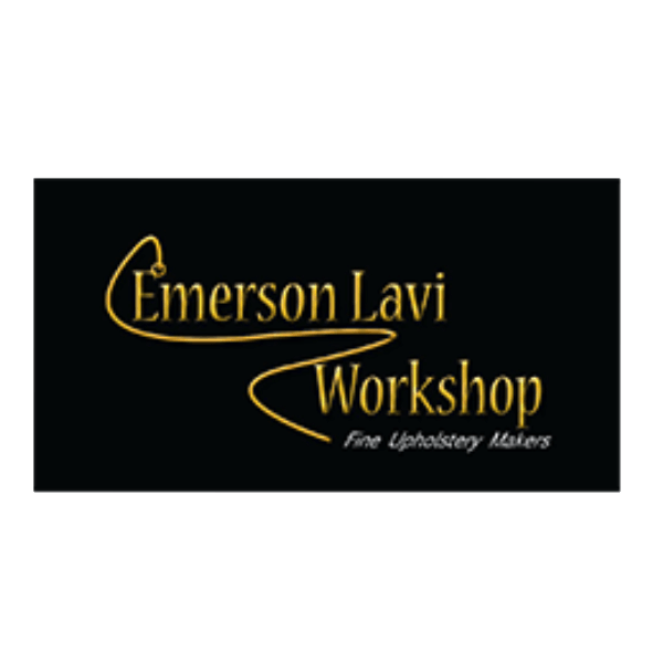 Emerson Lavi Workshop