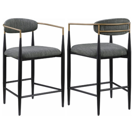 Tina Fabric Upholstered Counter Chair Dark Grey (Set of 2) product image