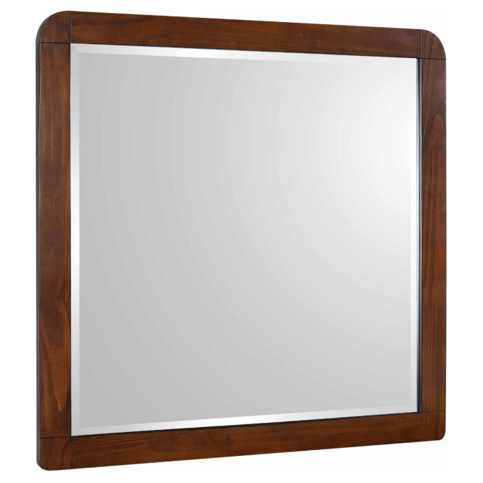 Robyn Dresser Mirror Dark Walnut product image