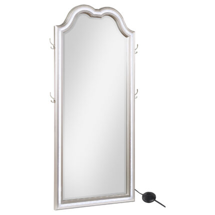 Evangeline Full Length LED Light Floor Mirror Silver Oak product image