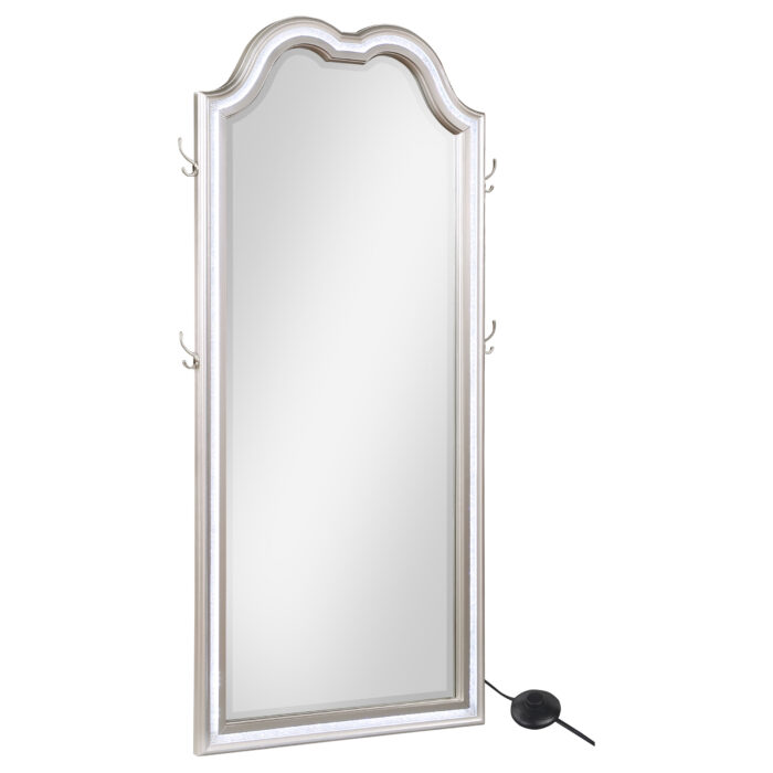 Evangeline Full Length LED Light Floor Mirror Silver Oak product image
