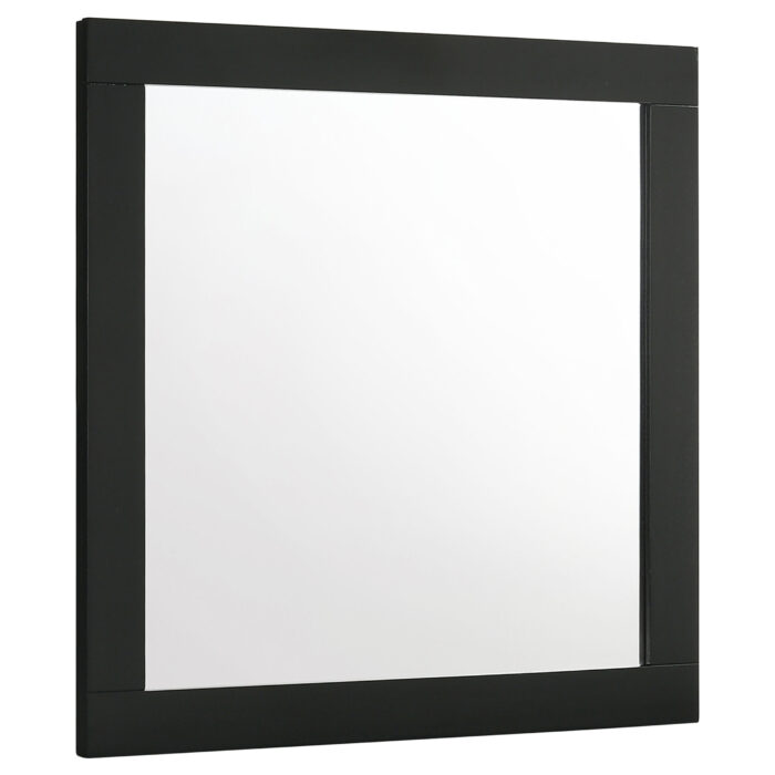 Caraway Dresser Mirror Black product image
