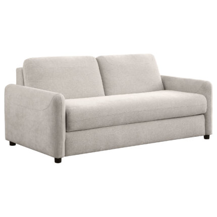 Rylie Upholstered Sofa Sleeper with Queen Mattress Beige product image