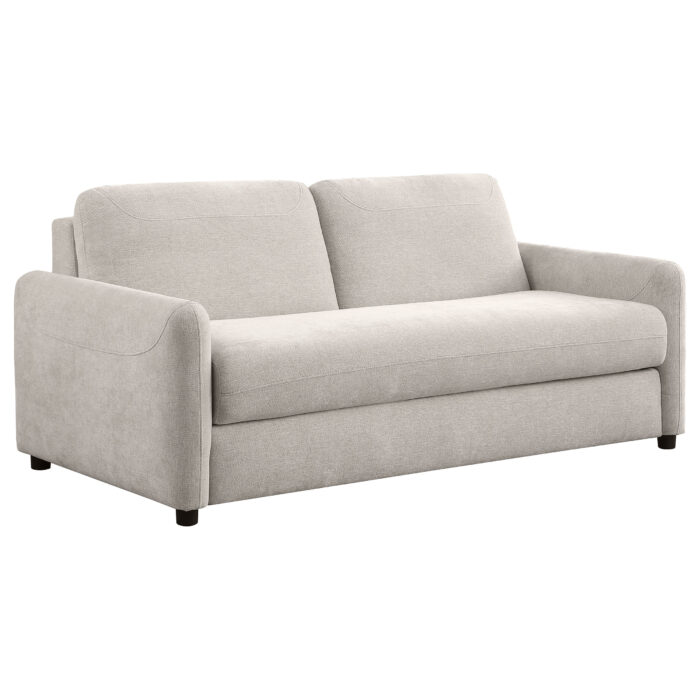 Rylie Upholstered Sofa Sleeper with Queen Mattress Beige product image