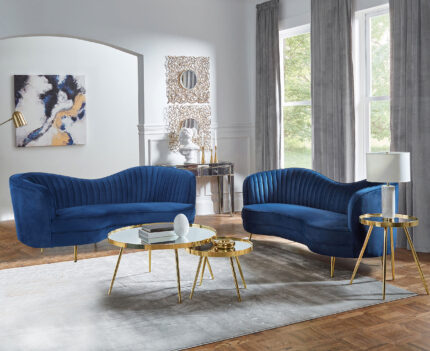 Sophia 2-piece Upholstered Channel Tufted Sofa Set Blue product image