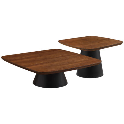 Eason 2-piece Coffee Table Set Walnut and Black product image