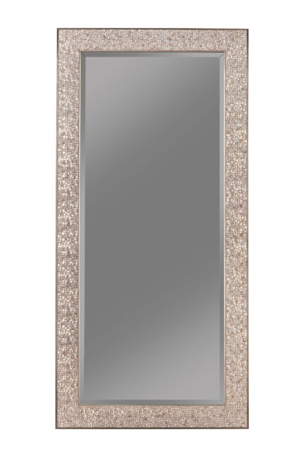 Rollins 32 x 66 Inch Rectangular Floor Mirror Silver product image
