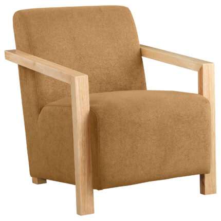 Diego Upholstered Accent Arm Chair with Wood Arms Honey product image