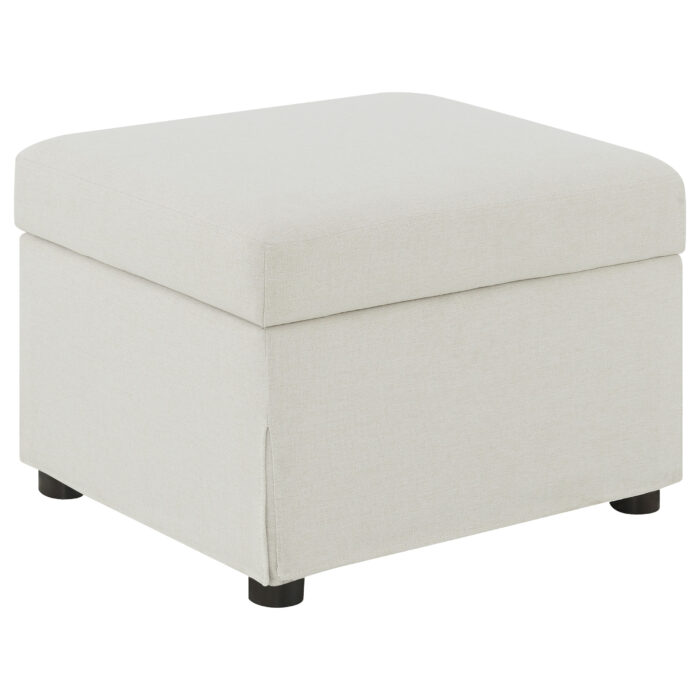 Winter Upholstered Hydraulic Lift Top Storage Ottoman Beige product image