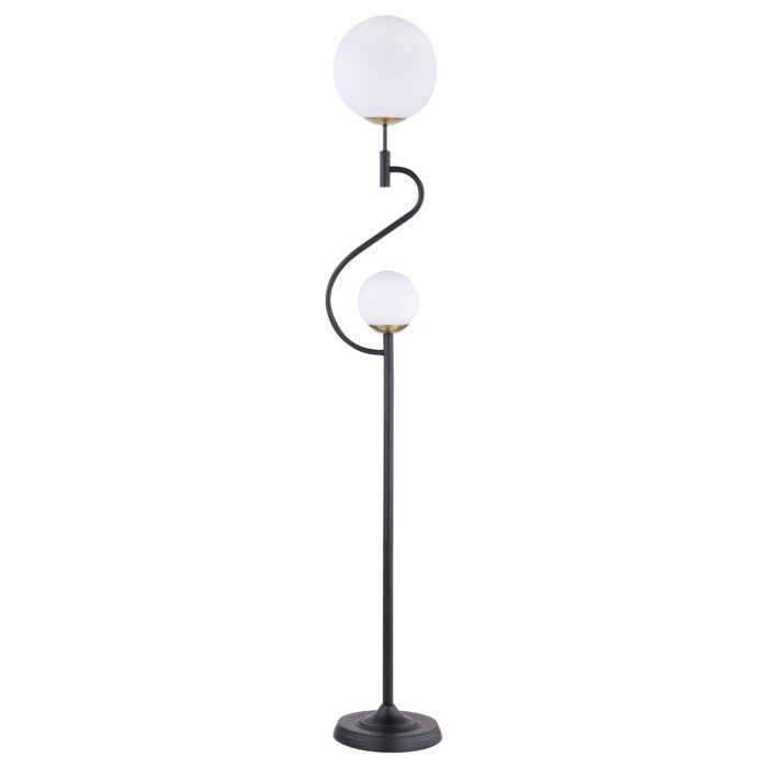 Dacki 69-inch Dual Spherical Bulb Metal Floor Lamp Black product image