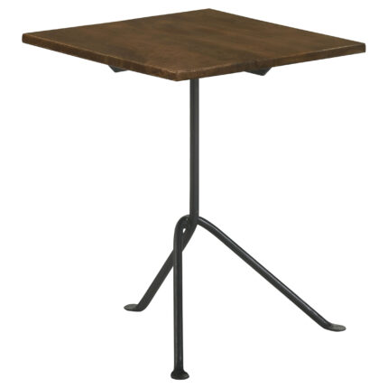 Heitor Square Wood Top Accent Side Table Dark Brown product image