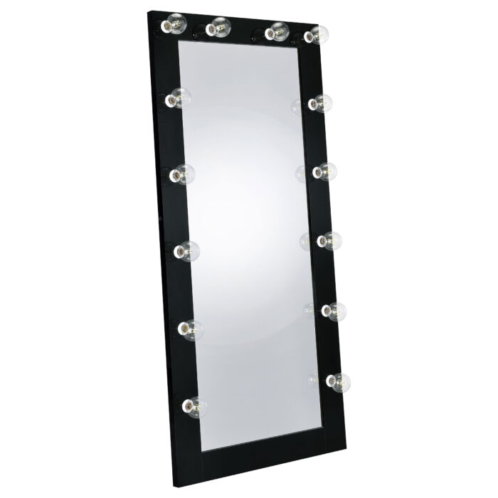 Zayan 32 x 71 Inch Floor Mirror LED Lighting Black Gloss product image