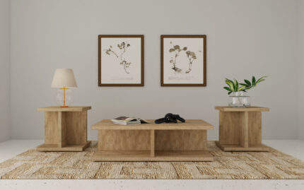Cortona 3-piece Coffee and End Table Set Mango product image