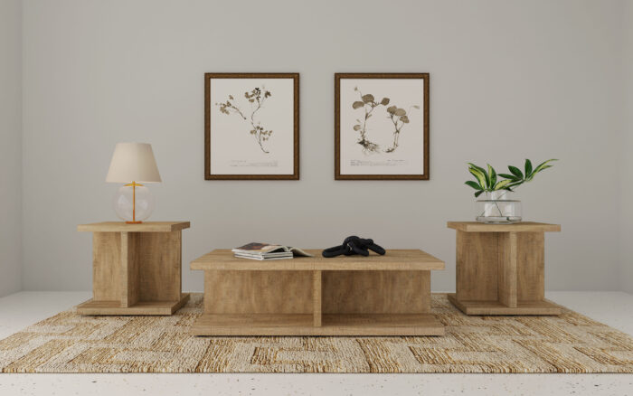 Cortona 3-piece Coffee and End Table Set Mango product image