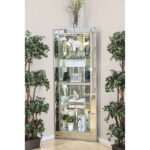 Chouteau Curio Cabinet - Furniture of America product image