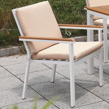 Chair (2/Ctn) Aisha - Furniture of America product image