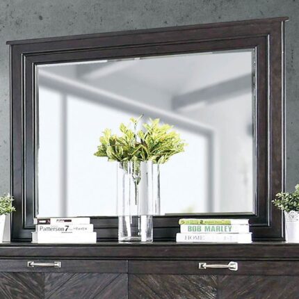 Argyros Mirror - Furniture of America product image