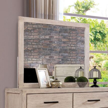 Mirror Strasburg - Furniture of America product image