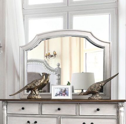 Mirror Hesperia - Furniture of America product image