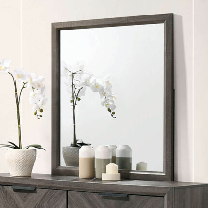Vagan Mirror - Furniture of America product image
