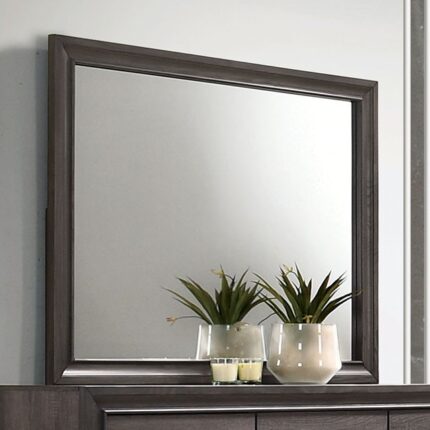 Mirror Chrissy - Furniture of America product image