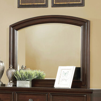 Castor Mirror - Furniture of America product image