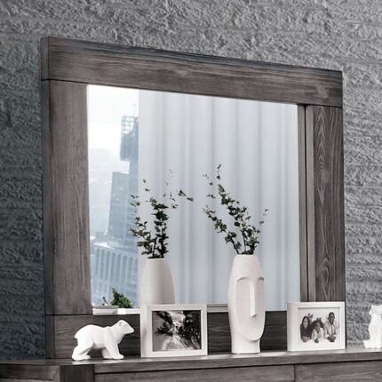 Mirror Janeiro - Furniture of America product image