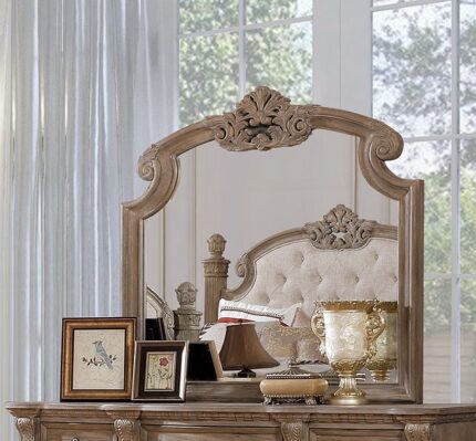 Mirror Montgomery - Furniture of America product image