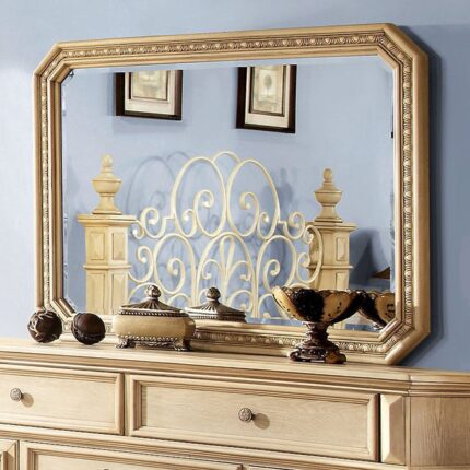 Waldenburg Mirror - Furniture of America product image