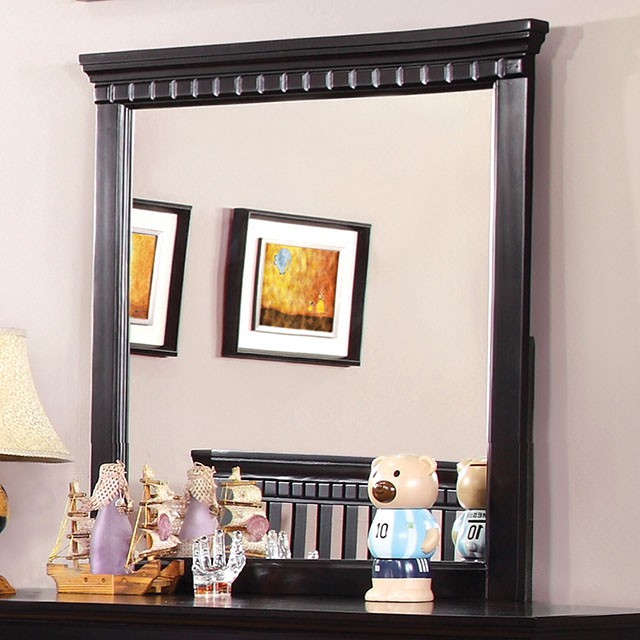 Caspian Mirror - Furniture of America product image
