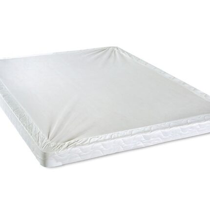 Bird Of Paradise 4" Twin-Size Foundation - Furniture of America product image