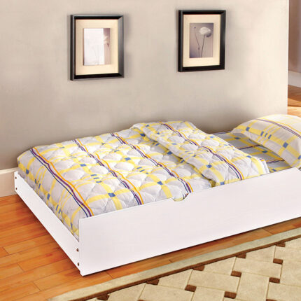 Omnus Trundle w/ 2 Dividers - Furniture of America product image