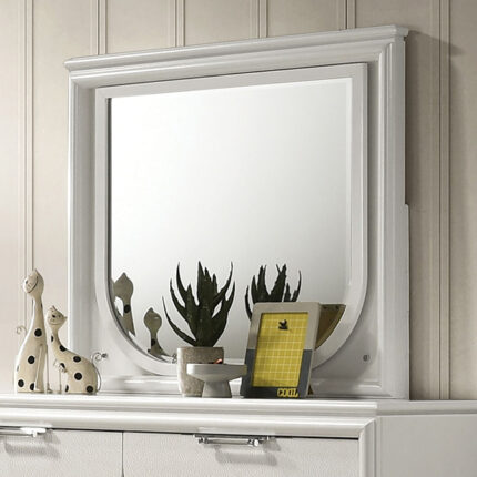 Lareina Mirror - Furniture of America product image