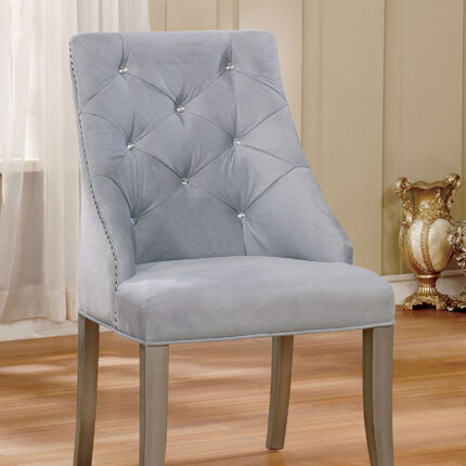 Diocles Side Chair (2/Box) - Furniture of America product image