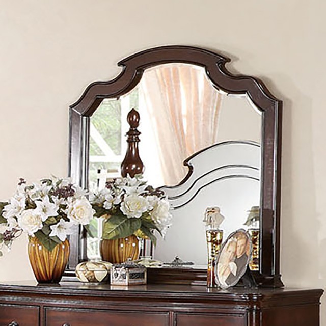 Devonshire Mirror - Furniture of America product image