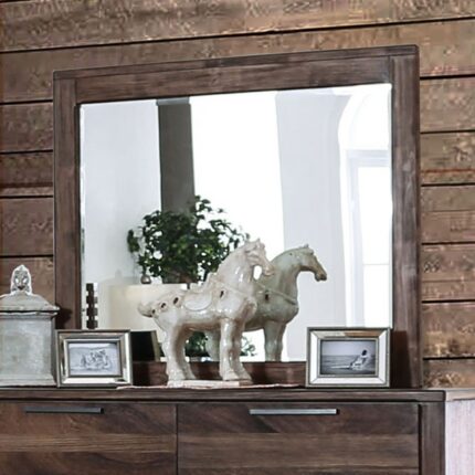 Hankinson Mirror - Furniture of America product image