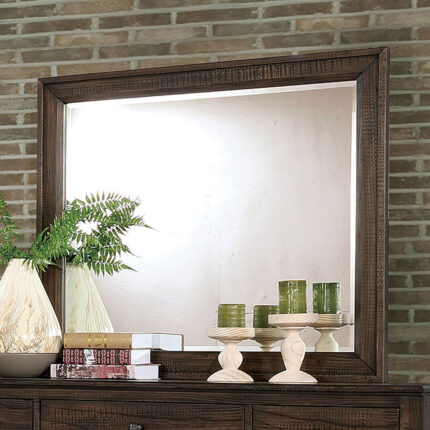 Agapetos Mirror - Furniture of America product image