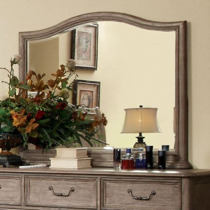 Belgrade I Mirror - Furniture of America product image