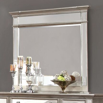 Salamanca Mirror - Furniture of America product image