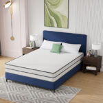 Catmint 10" Queen Innerspring Mattress - Furniture of America product image