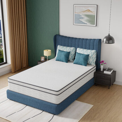 Catmint 12" Full Innerspring Mattress - Furniture of America product image