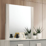 Lincolt Mirror - Furniture of America product image