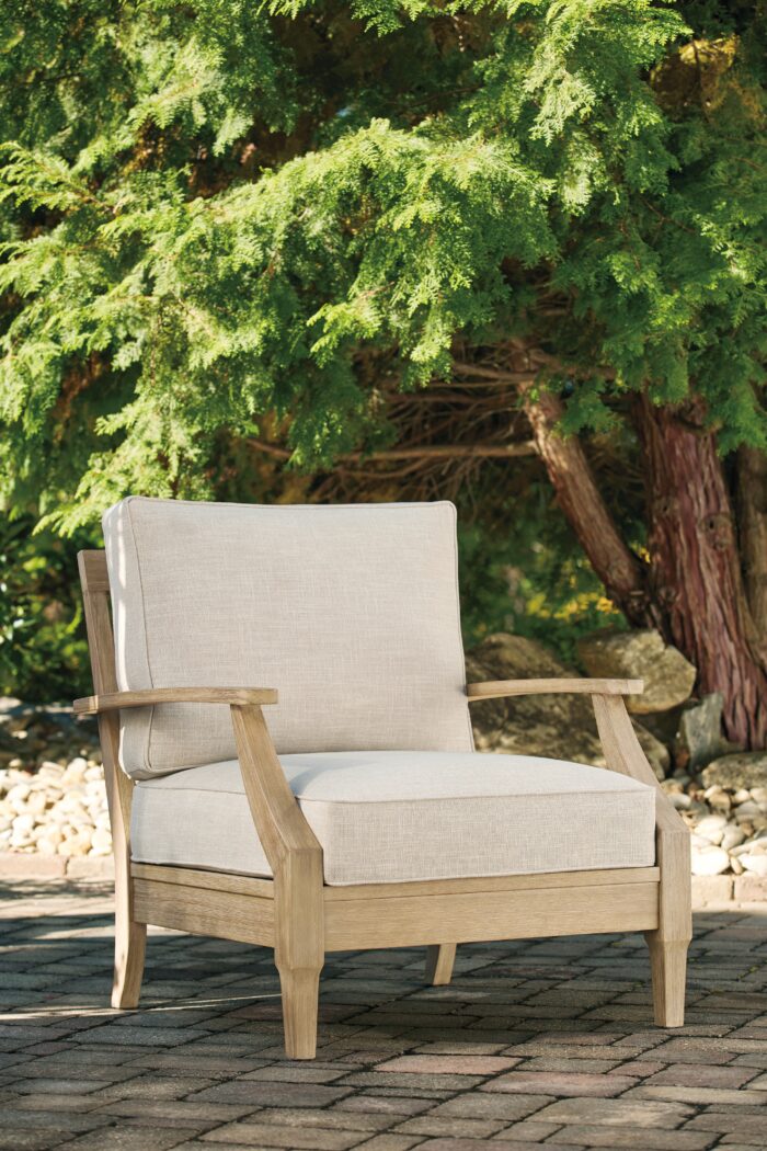 Clare View Lounge Chair with Cushion product image