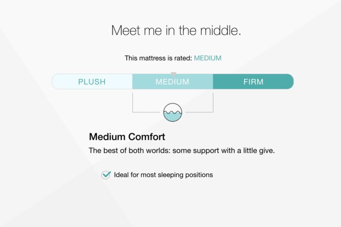 Chime 10 Inch Hybrid Twin Mattress in a Box product image