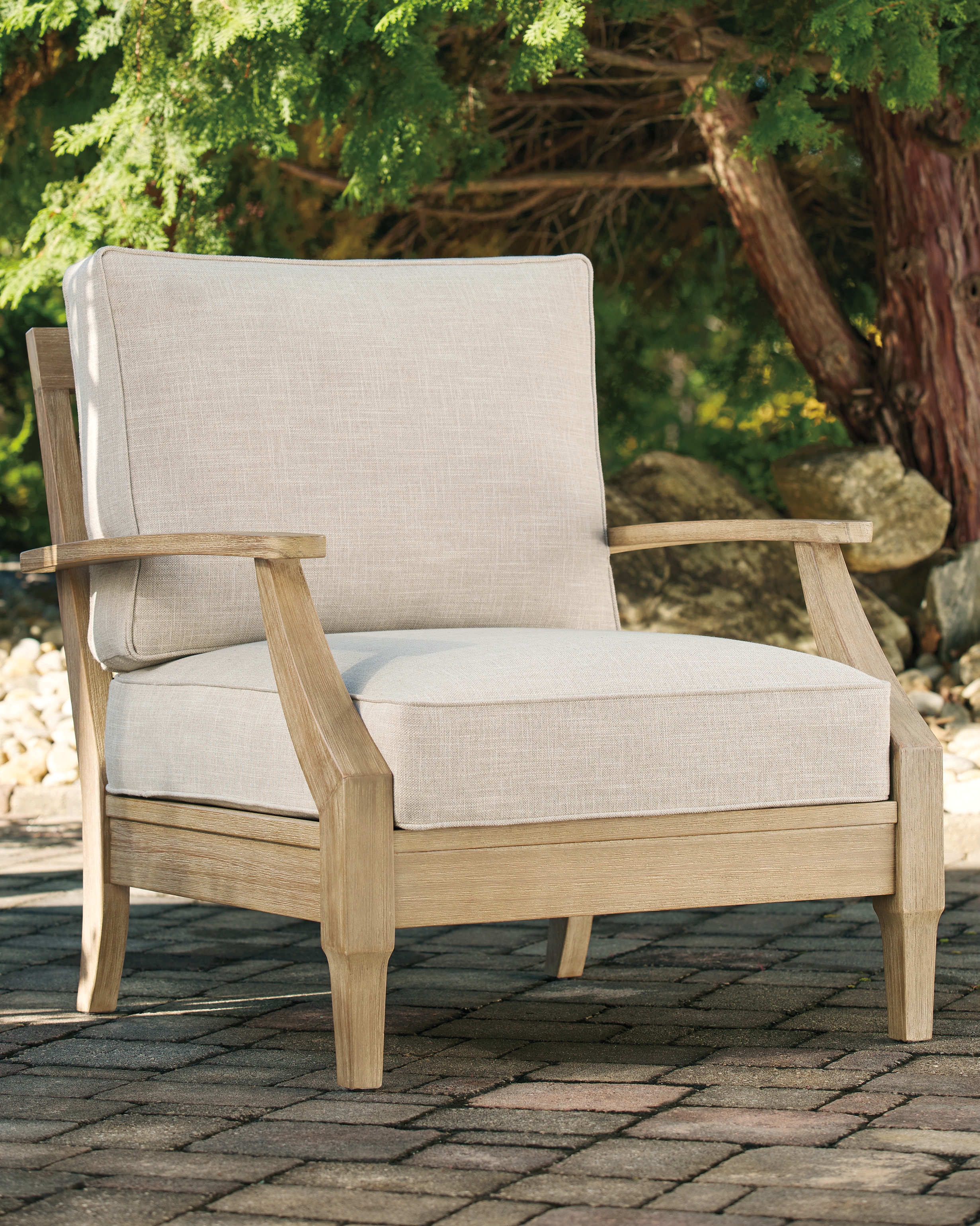 Clare View Lounge Chair with Cushion product image