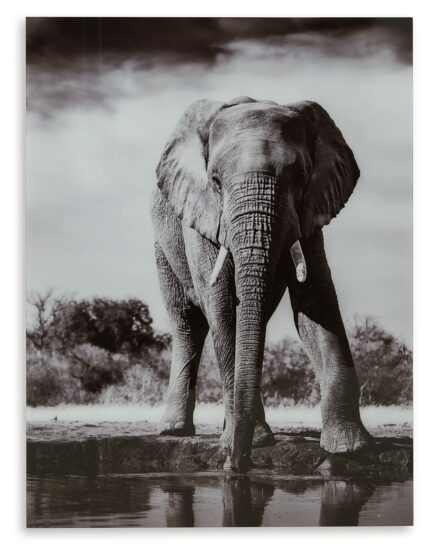 Glinyard Wall Art - Ashley Direct